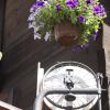DSC00263.jpg