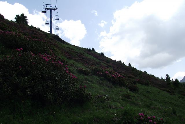 DSCF7711