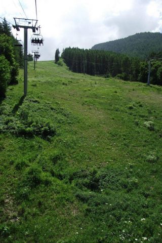 DSCF7695