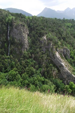 DSCF7816
