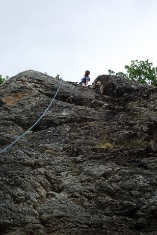 DSCF7781