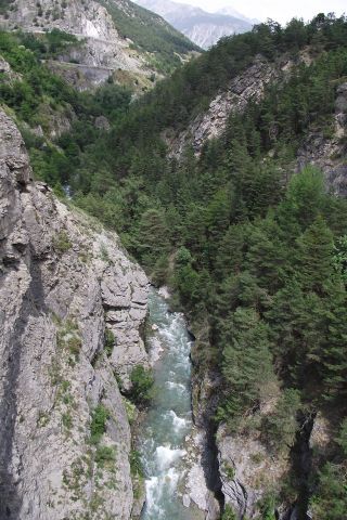 DSCF7822