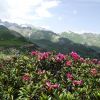 DSCF7718
