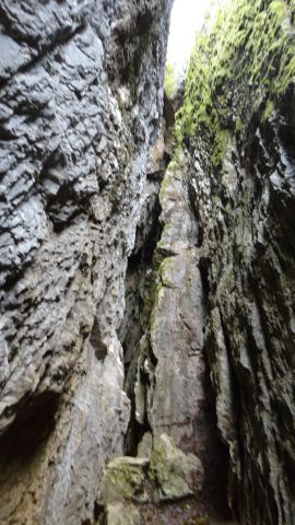 DSC00751
