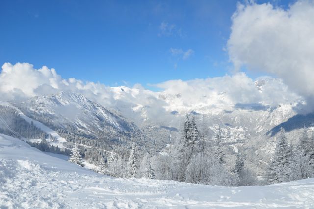 DSC 0600