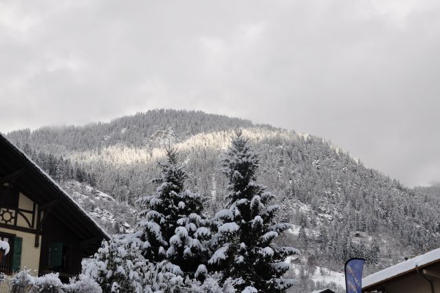 DSC 0555
