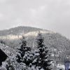 DSC 0555