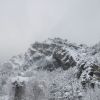 DSC 0537