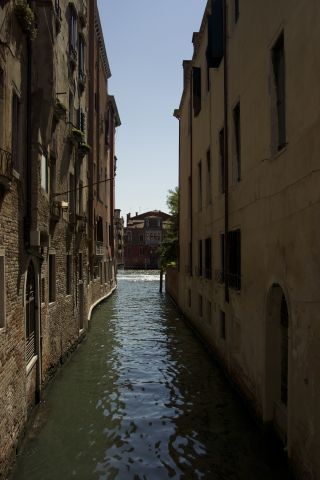 DSC5596