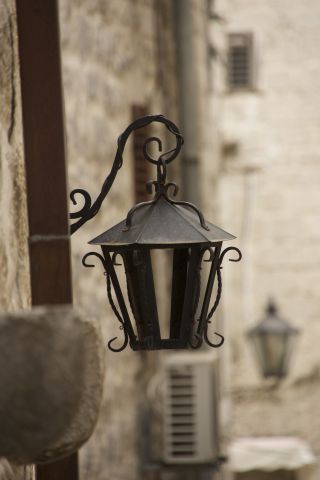 DSC5217