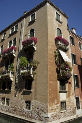 DSC5651