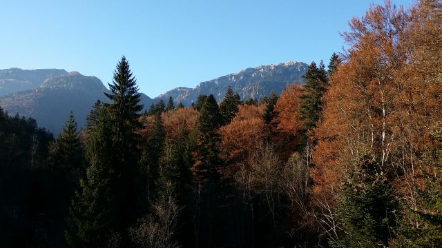 20151101 145948[1]