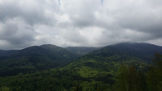 20170501 141549