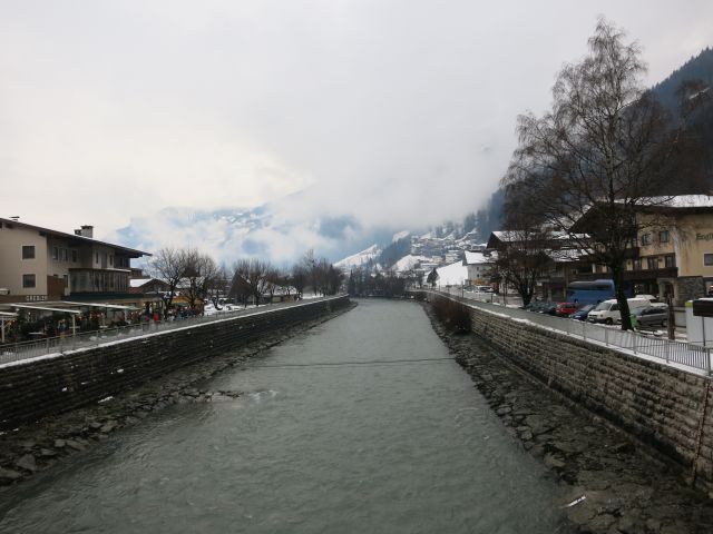 IMG 0061
