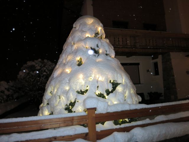 IMG 0020