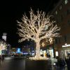 IMG 0084