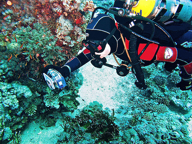 красное море1