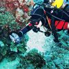 красное море1