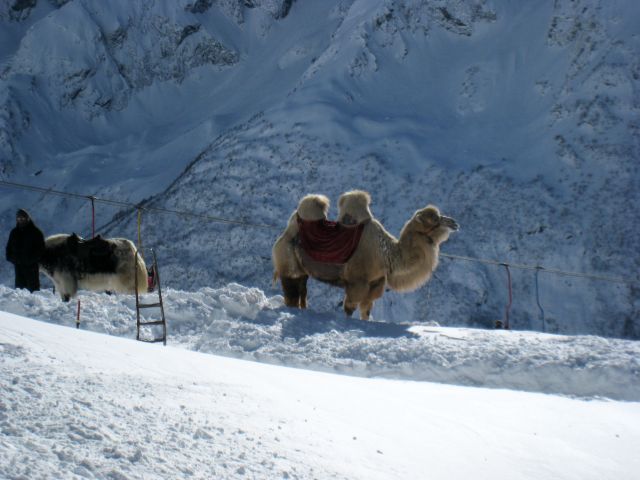 IMG 0119