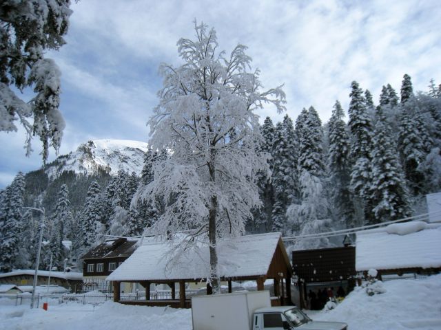 IMG 0011