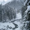 IMG 0038