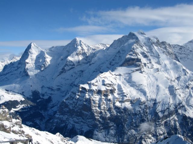 IMG 0768