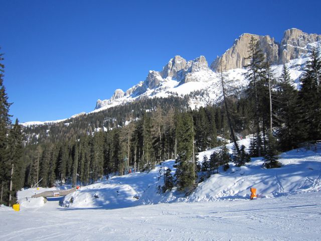 IMG 0157