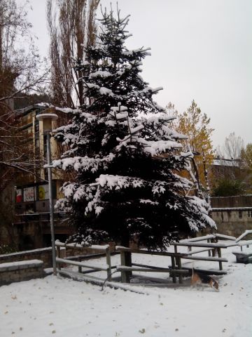 IMG 20131115 091928