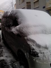 IMG 20131122 084901