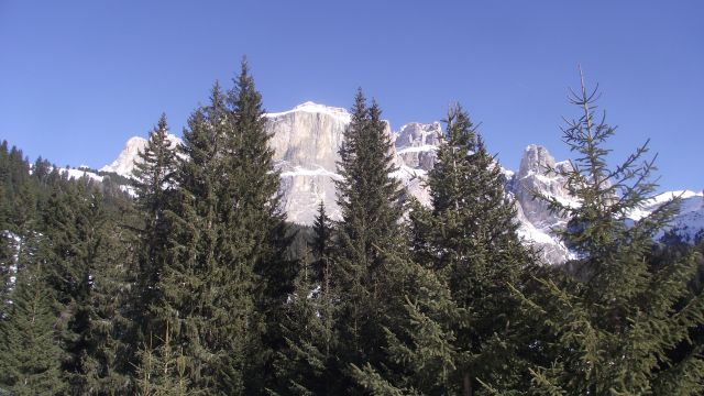 DSCF1143