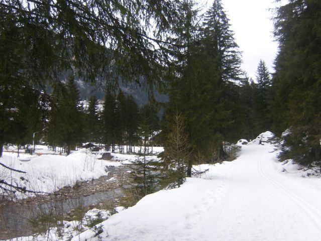 HPIM8291