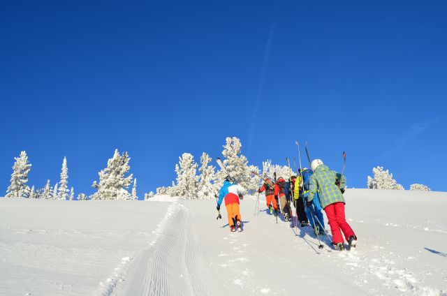 Бэккантри Лайт