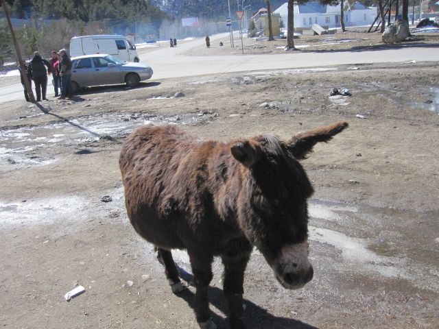 IMG 4764