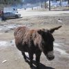 IMG 4764