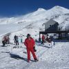 IMG 4731