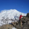 IMG 4746