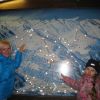 IMG 8758