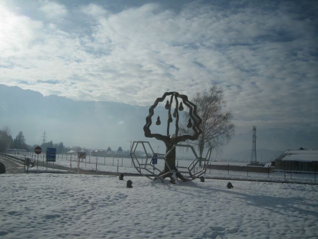 IMG 0477