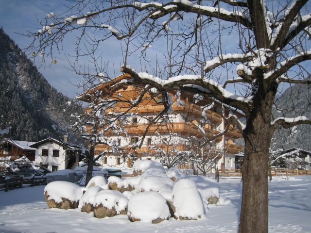 IMG 0495