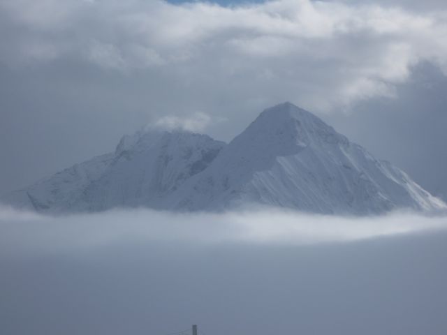 IMG 0537