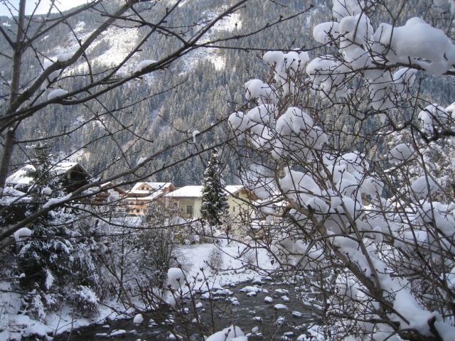 IMG 0506