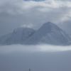 IMG 0537