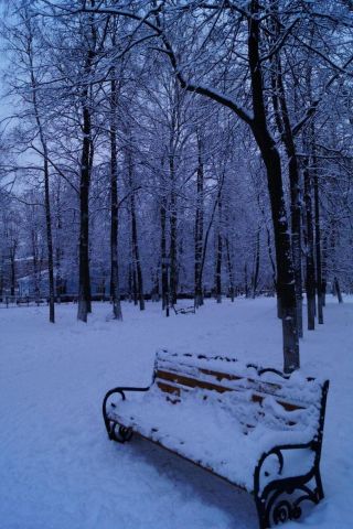 DSC01108