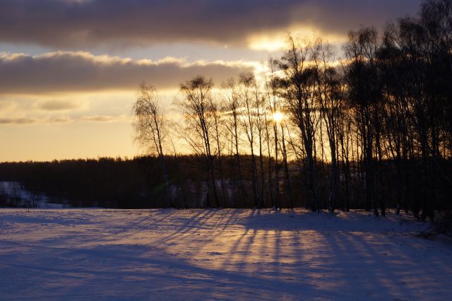 Подолино, Ярославль