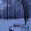 DSC01108