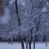 DSC01121