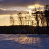 Подолино, Ярославль