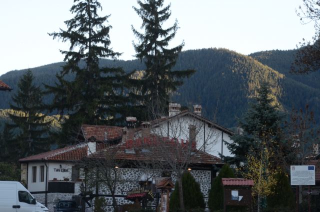 DSC 3404