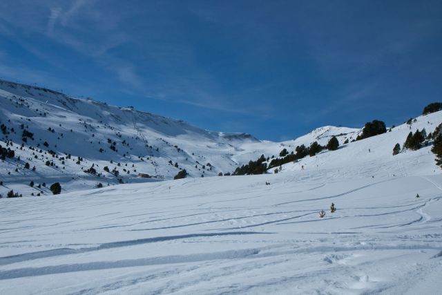 IMG_3662.jpg