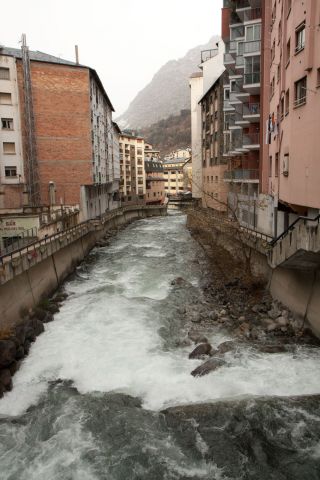 IMG 3511